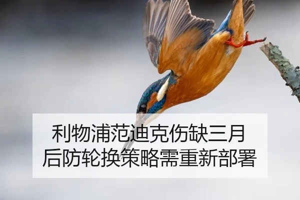 利物浦范迪克伤缺三月 后防轮换策略需重新部署